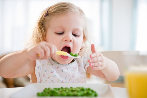Idee e consigli per far mangiare i bambini da 3 a 5 anni